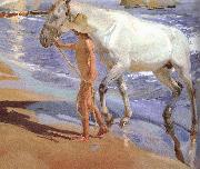 Joaquin Sorolla Horse bath oil on canvas
